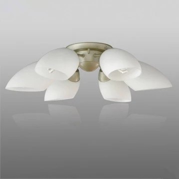 原装进口卧室餐厅六头花灯NEC