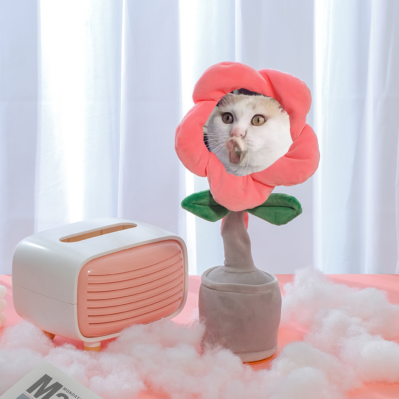 圣诞节礼物搞怪diy定制照片送闺蜜情侣男女朋友搞笑有趣丑萌玩具