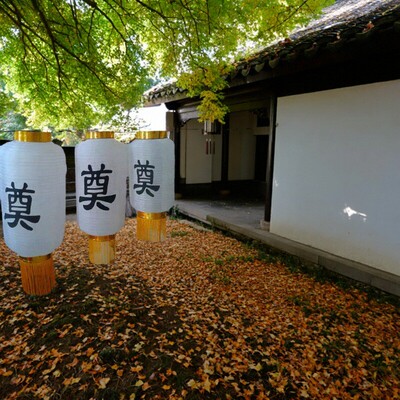 白色白事大号奠字白灯笼殡葬纱灯