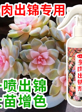 金枝玉叶开花增色出锦喷剂