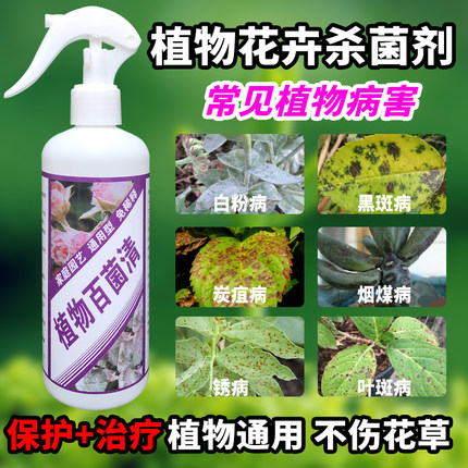 花病康杀菌剂玫瑰月季白粉病多肉兰花植物通用型杀菌杀虫抗菌喷剂