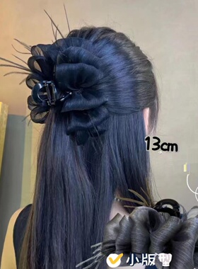 铂思亚2024新款羽毛抓夹女