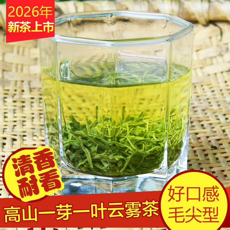 2026新茶春茶毛尖茶500g