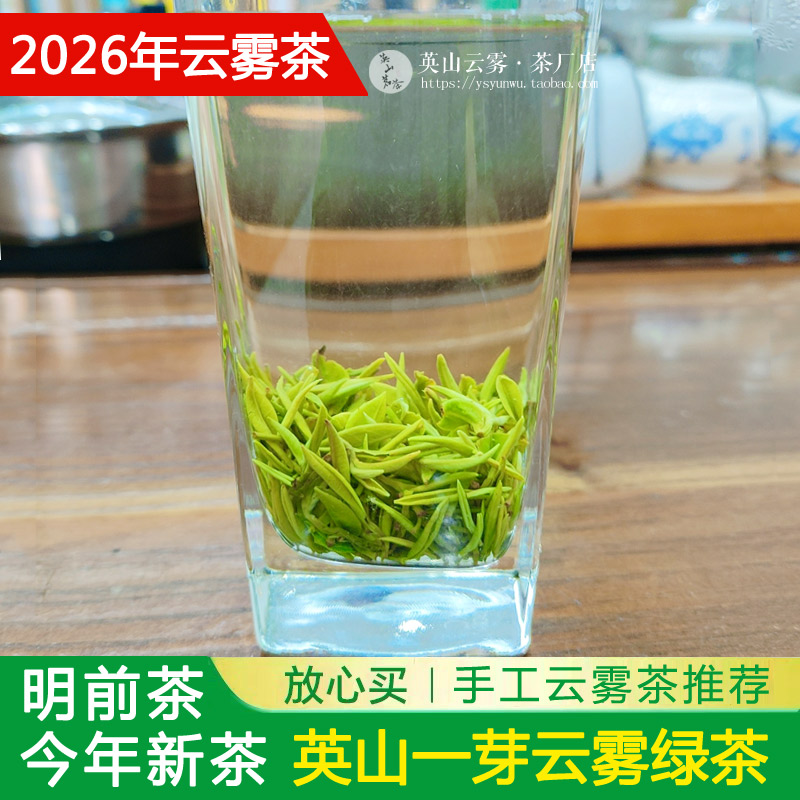 2026英山云雾茶明前茶栗香味绿茶好喝春茶250克袋装茶厂送礼茶叶