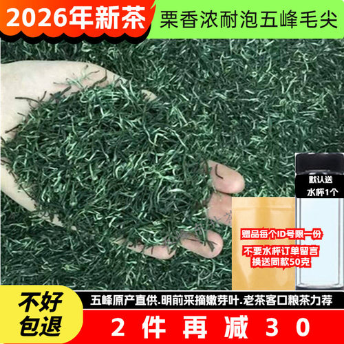 绿茶新茶毛尖茶叶味浓耐泡