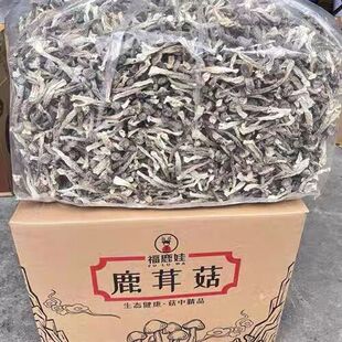 鹿茸菇干货10斤 特级鹿茸菇鹿茸菌土特产新鲜蘑菇菌类干货香菇 包邮