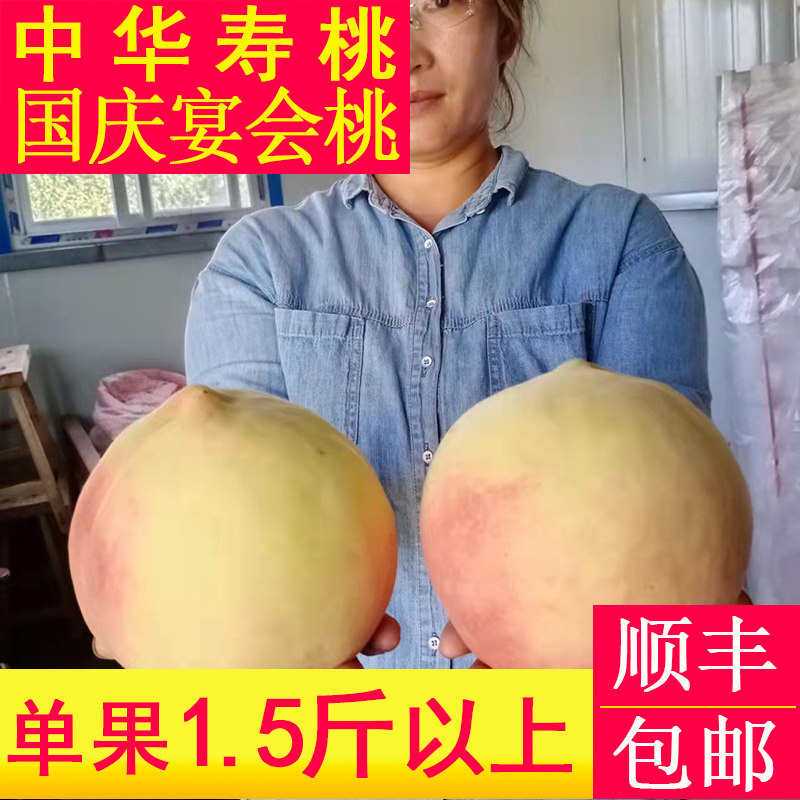 中华寿桃超大桃子现摘现发礼盒装