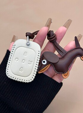 25款极狐T1钥匙套PRO北汽PLUSMAX钥匙套ARCFOX保护包壳扣腊肠狗女