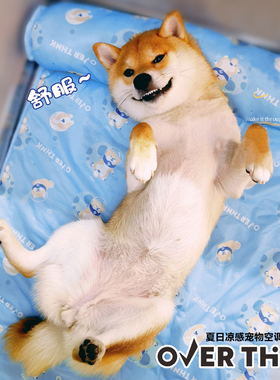 此木家 OVERTHINK猫狗垫子原创柴犬夏日凉感宠物枕头垫降温窝空调