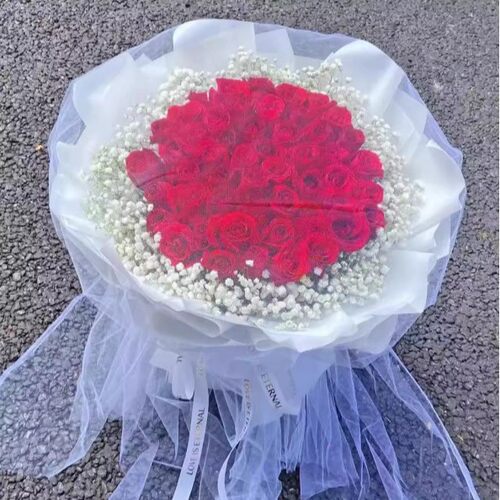 桂林象山七星雁山临桂区龙胜县资