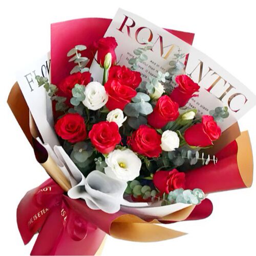 上海市杨浦闵行普陀虹口宝山嘉定