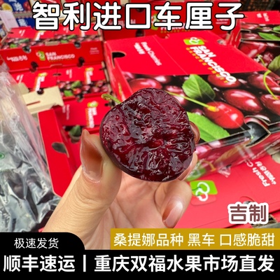 现货吉制智利进口车厘子桑提娜