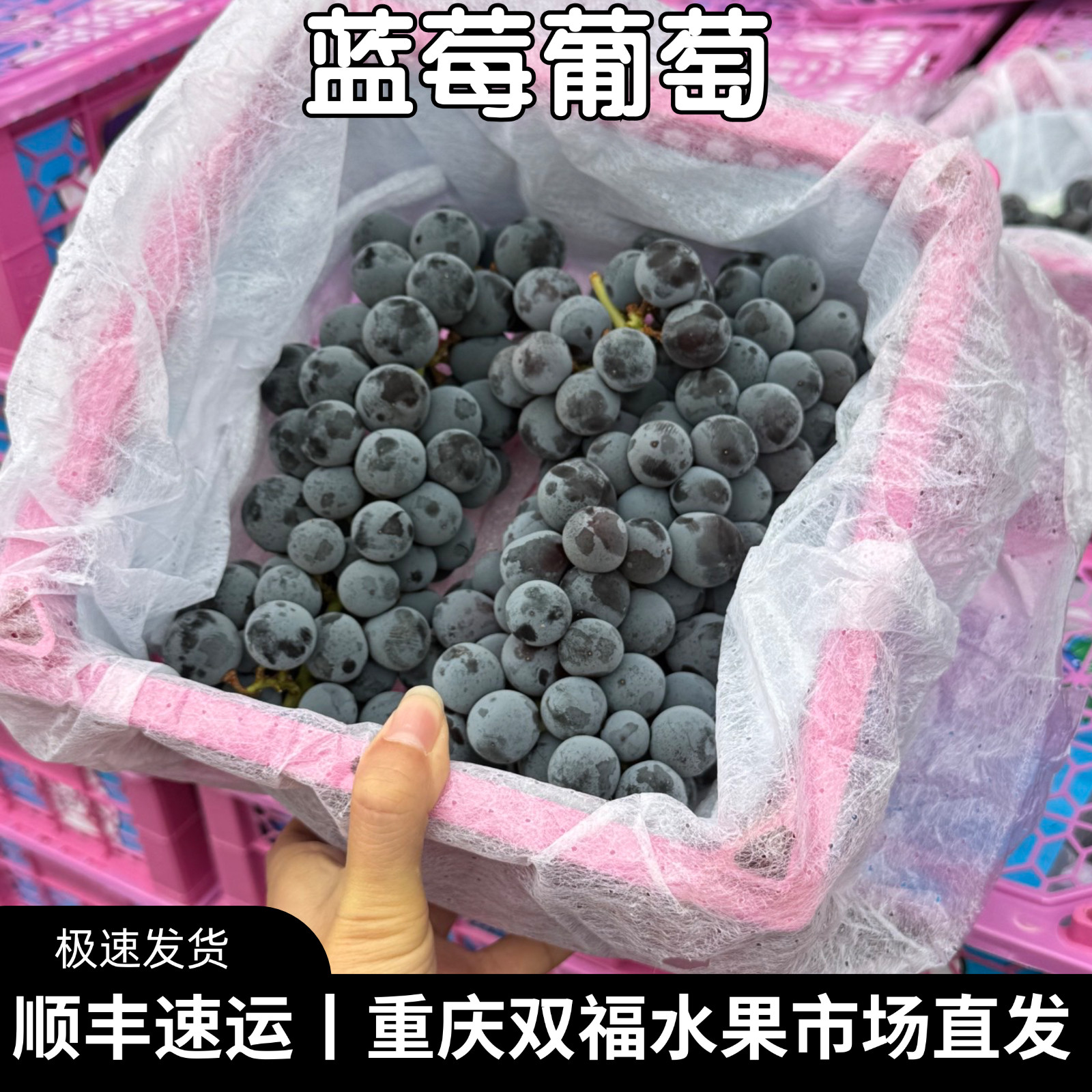 新鲜蓝莓葡萄当季水果推荐无籽净重约2斤香甜多汁重庆双福顺丰
