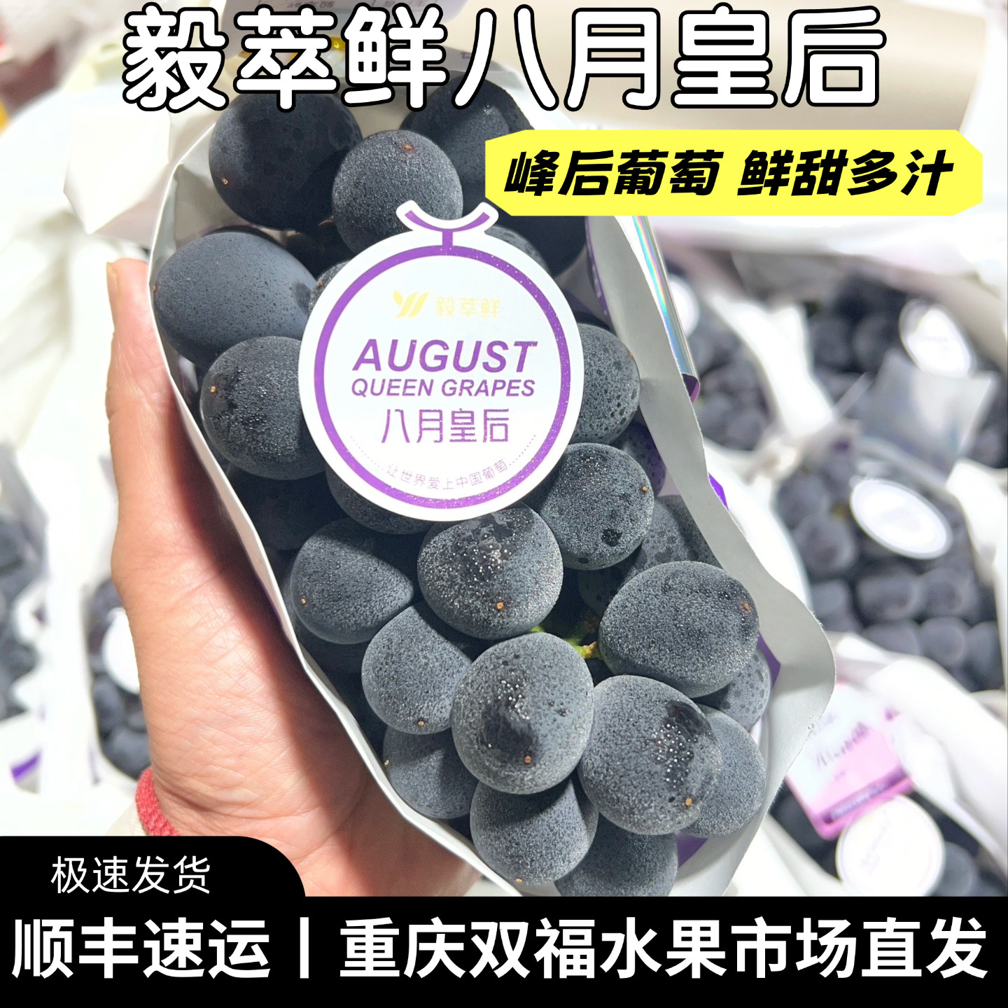毅萃鲜八月皇后峰后葡萄3斤5斤家庭装当季新鲜水果鲜甜多汁双福