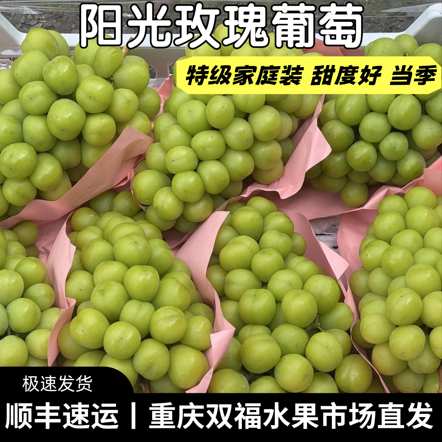 特级阳光玫瑰葡萄家庭装