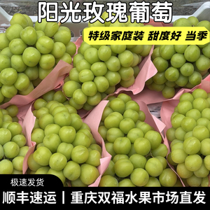 特级阳光玫瑰葡萄家庭装当季水果