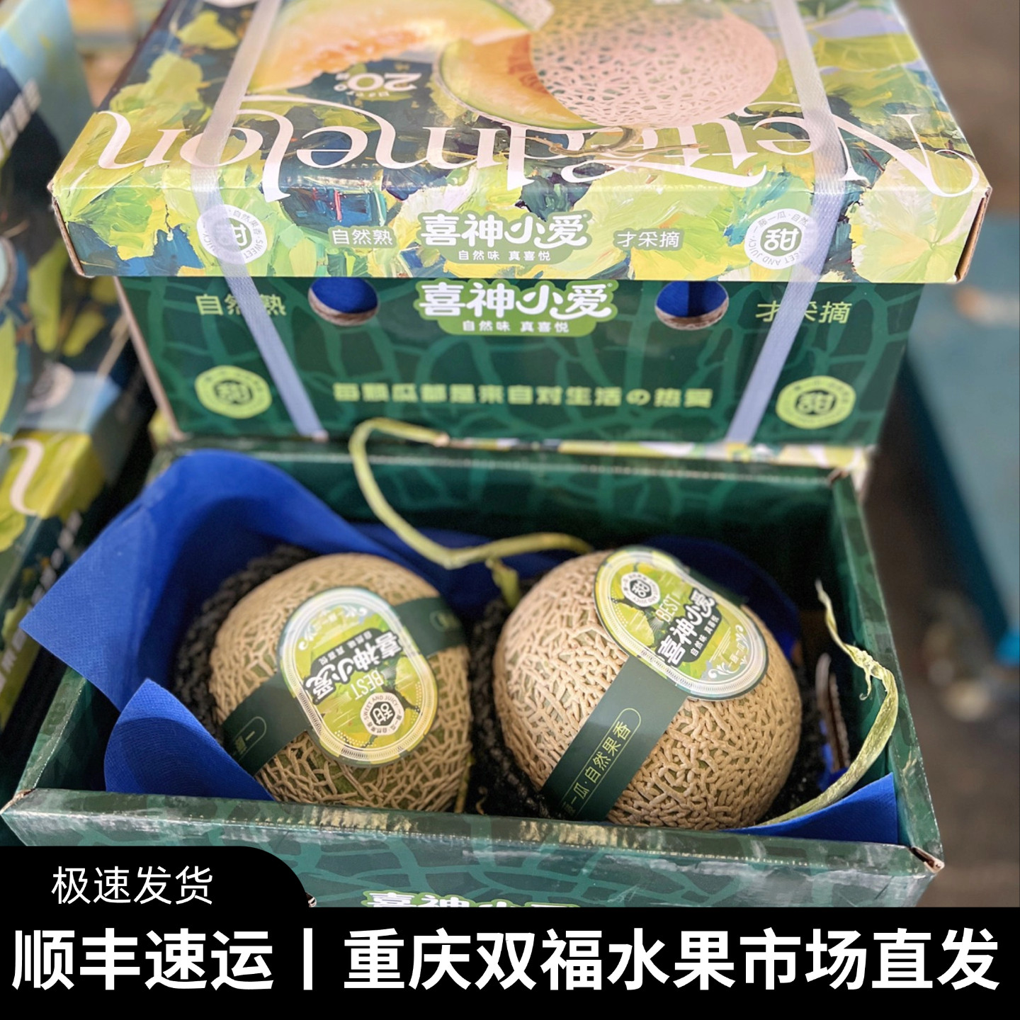 喜神小爱绿心网纹瓜2个4个礼盒装蜜瓜软糯香甜水果中秋送礼双福