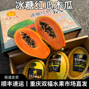 海南冰糖红心木瓜3 净重约8斤年货送礼水果重庆双福顺丰 5个礼盒装