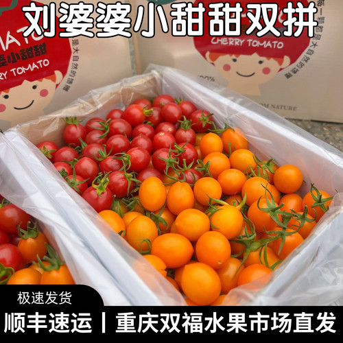 刘婆婆小甜甜双拼千禧小番茄