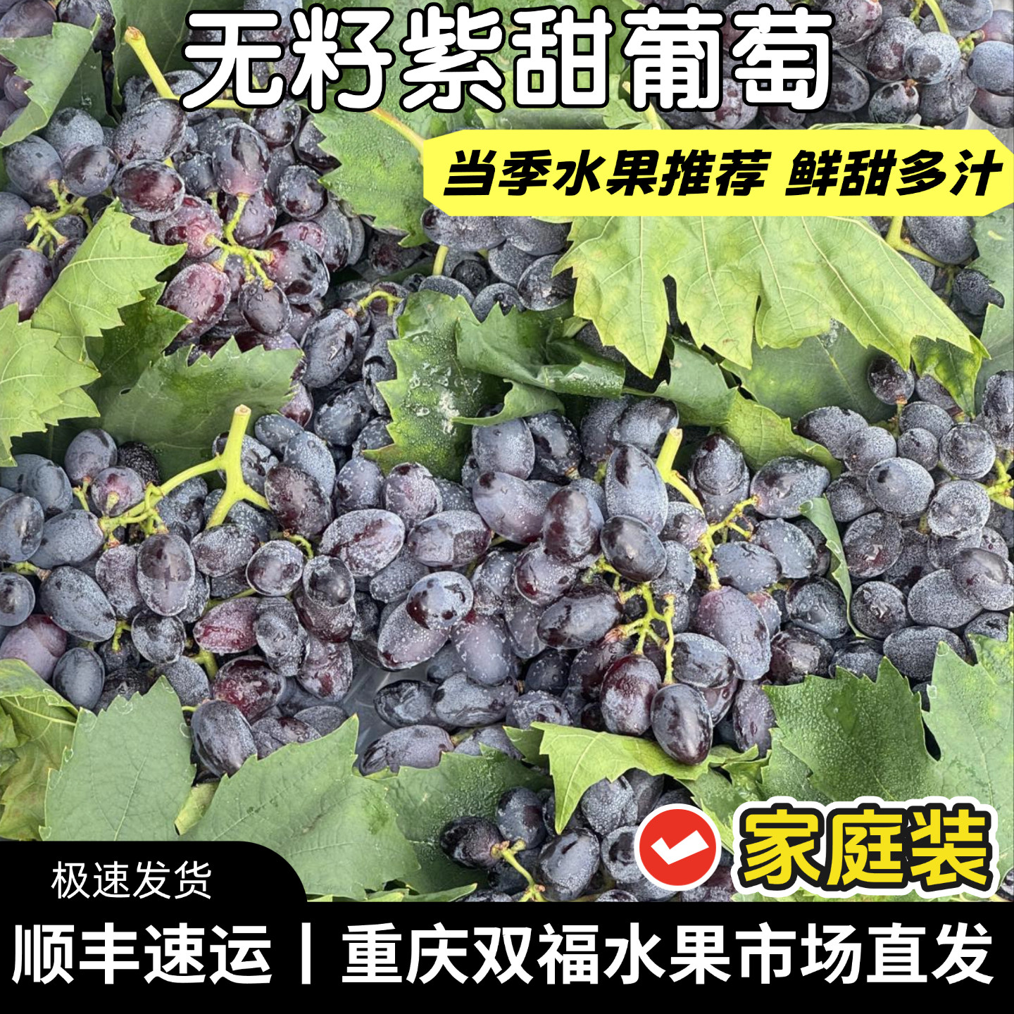 无核紫甜葡萄3斤5斤鲜甜多汁甜度好水果新鲜当季整箱重庆双福顺丰