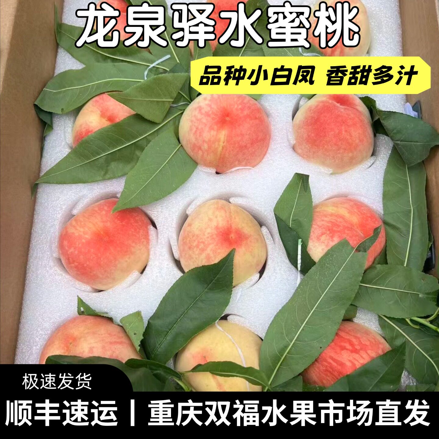 巴板龙泉驿小白凤水蜜桃