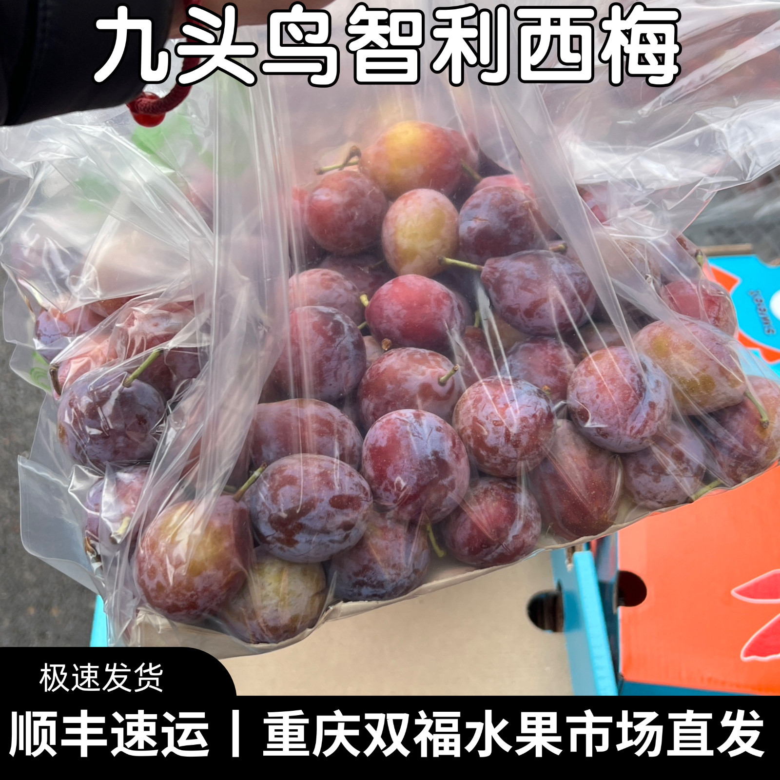 九头鸟智利进口西梅原箱5斤10斤礼盒装单J新鲜水果不是李子双福