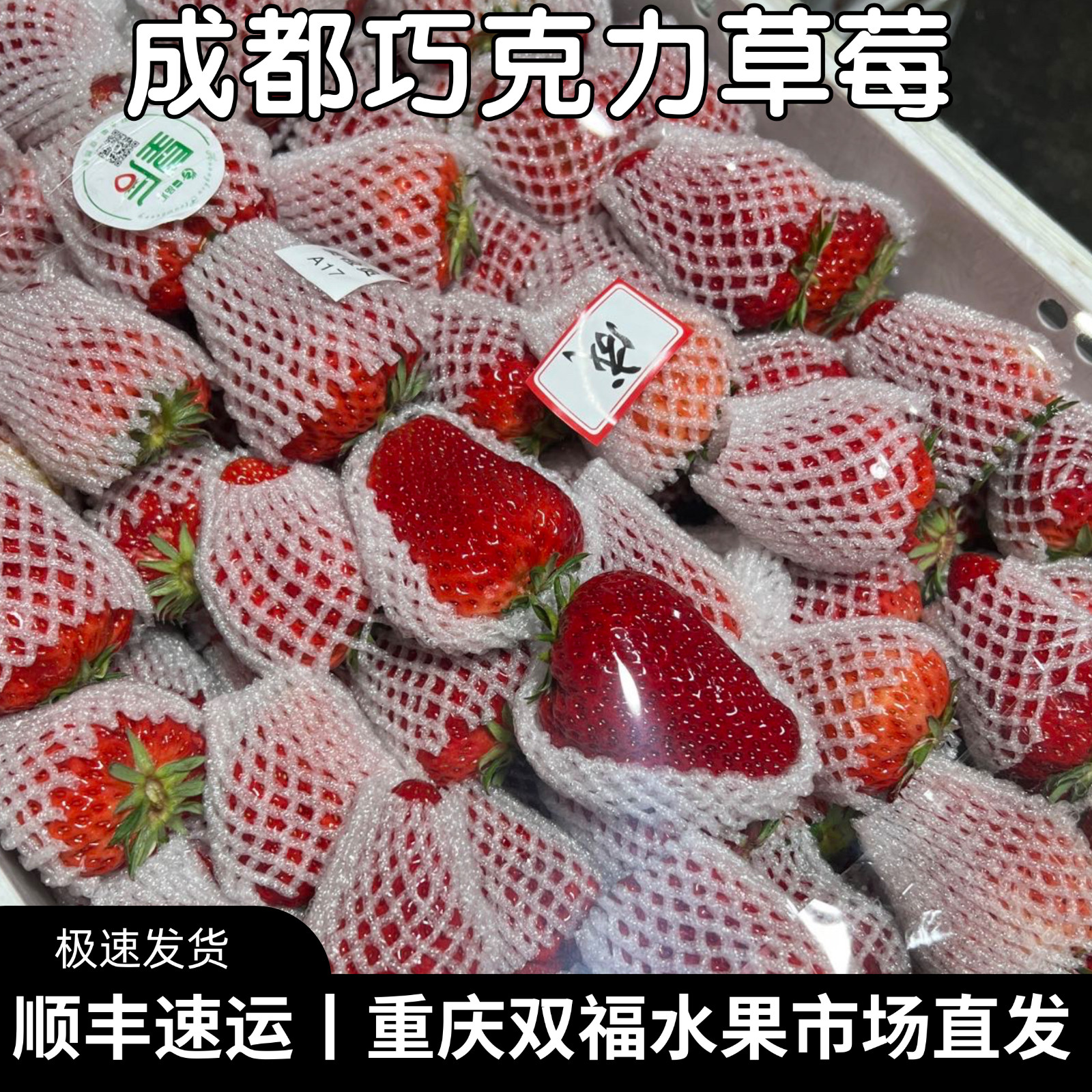 皇后成都巧克力草莓大果家庭装单果约30g起2斤3斤4斤新鲜水果双福