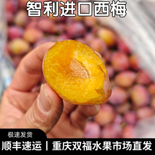 智利进口西梅2J中果3斤5斤8斤家庭装新鲜水果甜度高双福发货顺丰