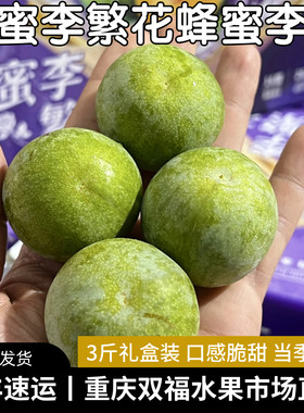 非常好吃的一款脆李子~蜜李繁花·蜂蜜李3斤礼盒装当季水果双福