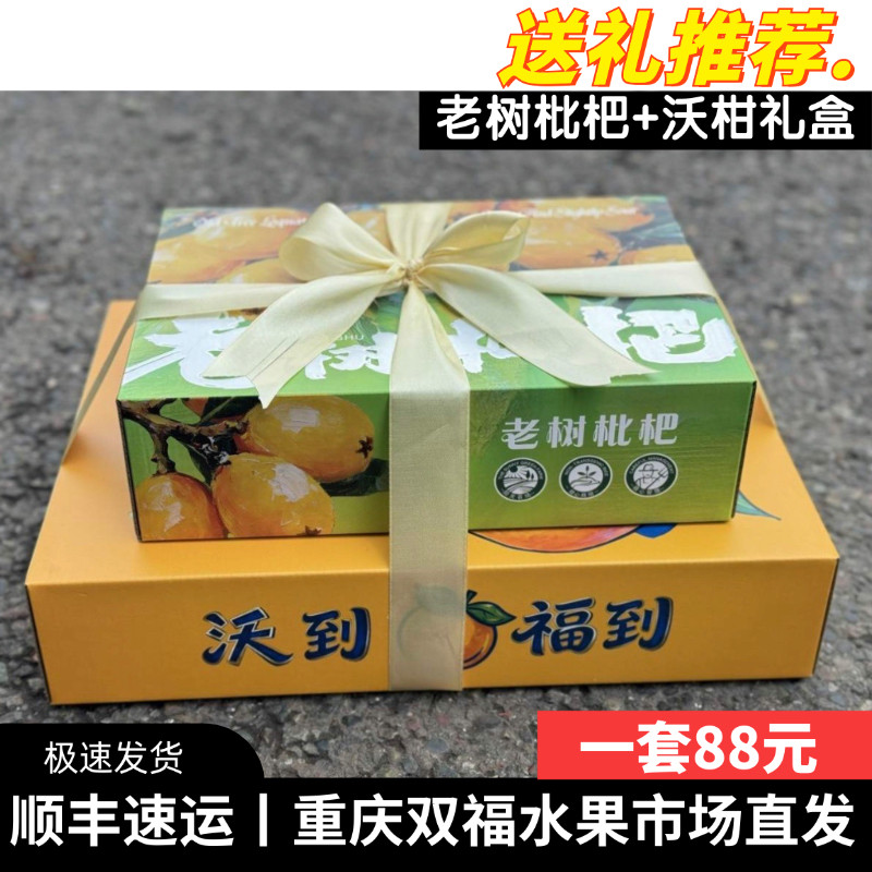 沃柑+老树枇杷水果组合礼盒装端午送礼客户员工团购长辈重庆双福