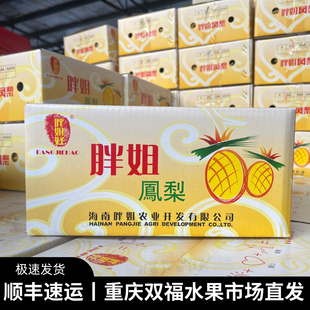 海南胖姐凤梨3枚礼盒装 水果双福顺丰 净重约4.5斤口感香甜当季