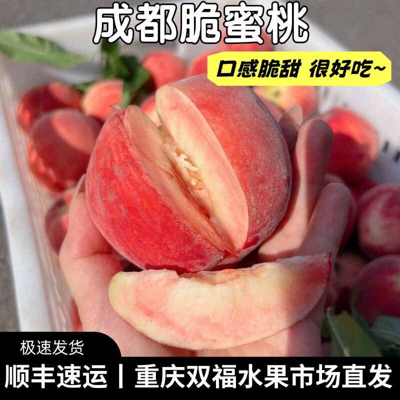 强推!!!成都脆蜜桃3斤5斤8斤家庭装当季新鲜脆桃子重庆双福顺丰