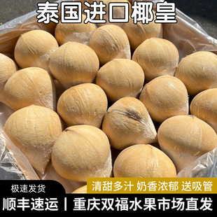泰国奶香椰皇40#果单果约400g±50g孕妇儿童新鲜椰子进口水果顺丰