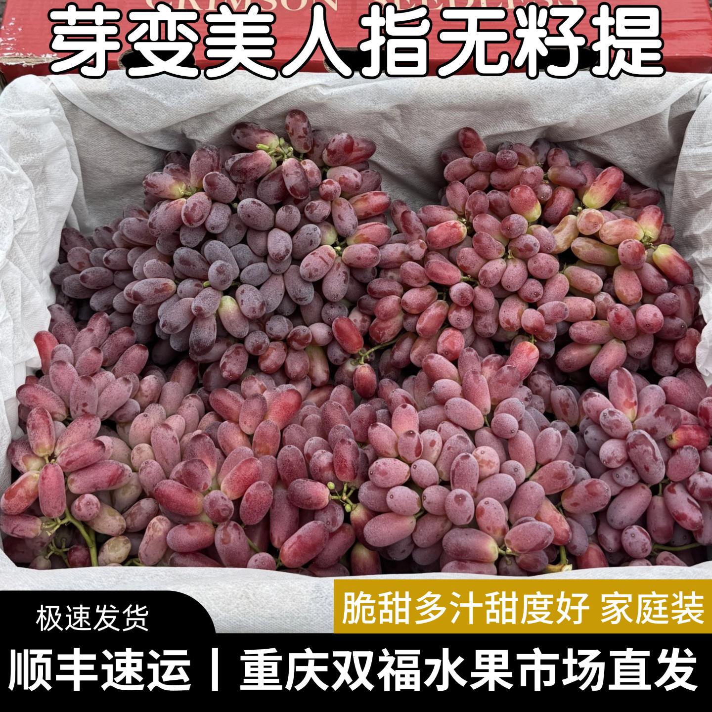 芽变美人指无籽红提3斤5斤家庭装当季水果推荐葡萄类重庆双福顺丰