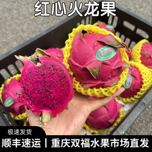 海南红心火龙果5个10个家庭装