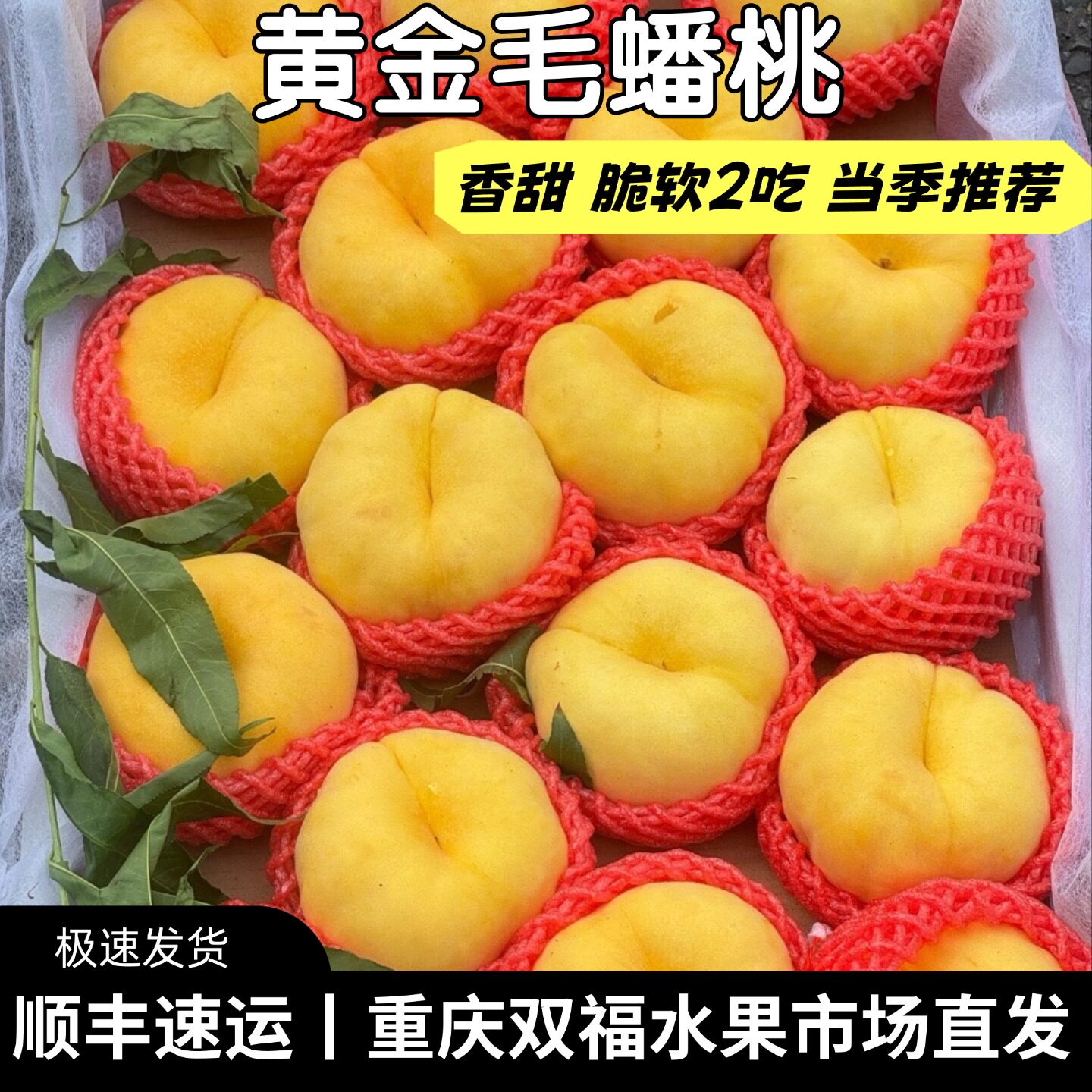 强推!!!黄金毛蟠桃3斤5斤家庭装