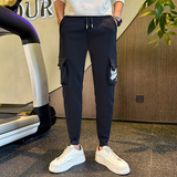 2024春装新款加绒裤男士休闲裤厚长裤束脚工装裤修身小脚裤A169，男装休闲裤，星座712-1