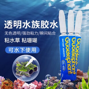 国象水草胶珊瑚胶水LTC粘造景胶骨架胶纽扣断肢sps水族鱼缸阿隆发
