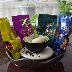 茶样链接直播间专拍春茶铁观音武夷岩茶红茶试喝随机发包邮
