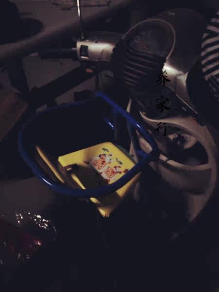 siège enfants pour vélo - Ref 2420663 Image 4