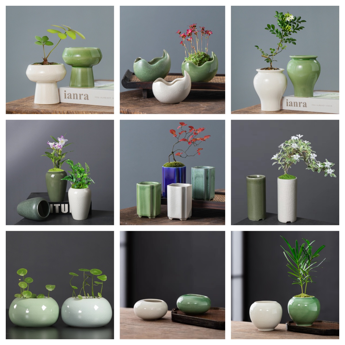 冰裂多肉花盆陶瓷蝴蝶兰花盆摆件