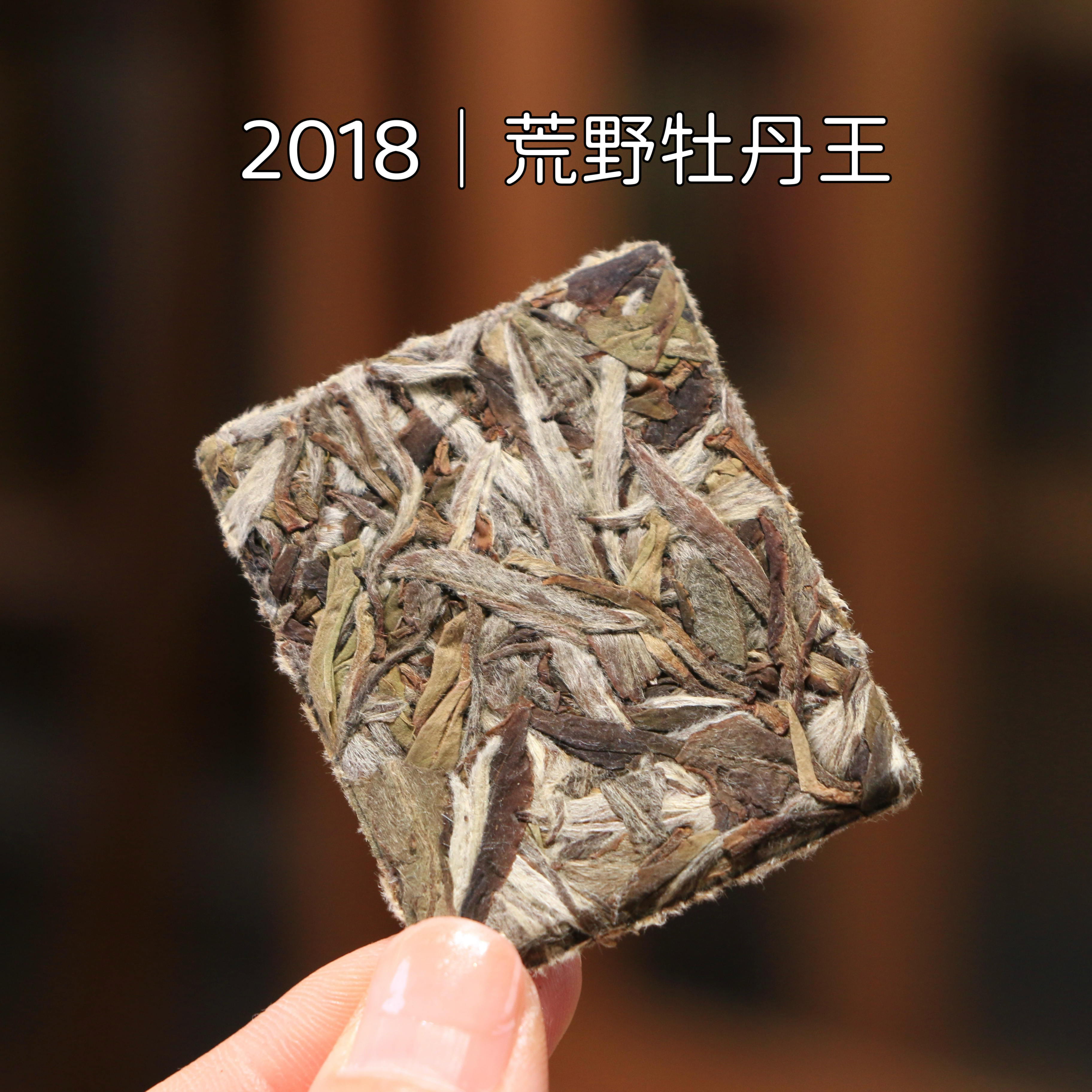 春醉福鼎白茶2018年荒野牡丹王方片荒枞老树原料正宗高山明前茶叶
