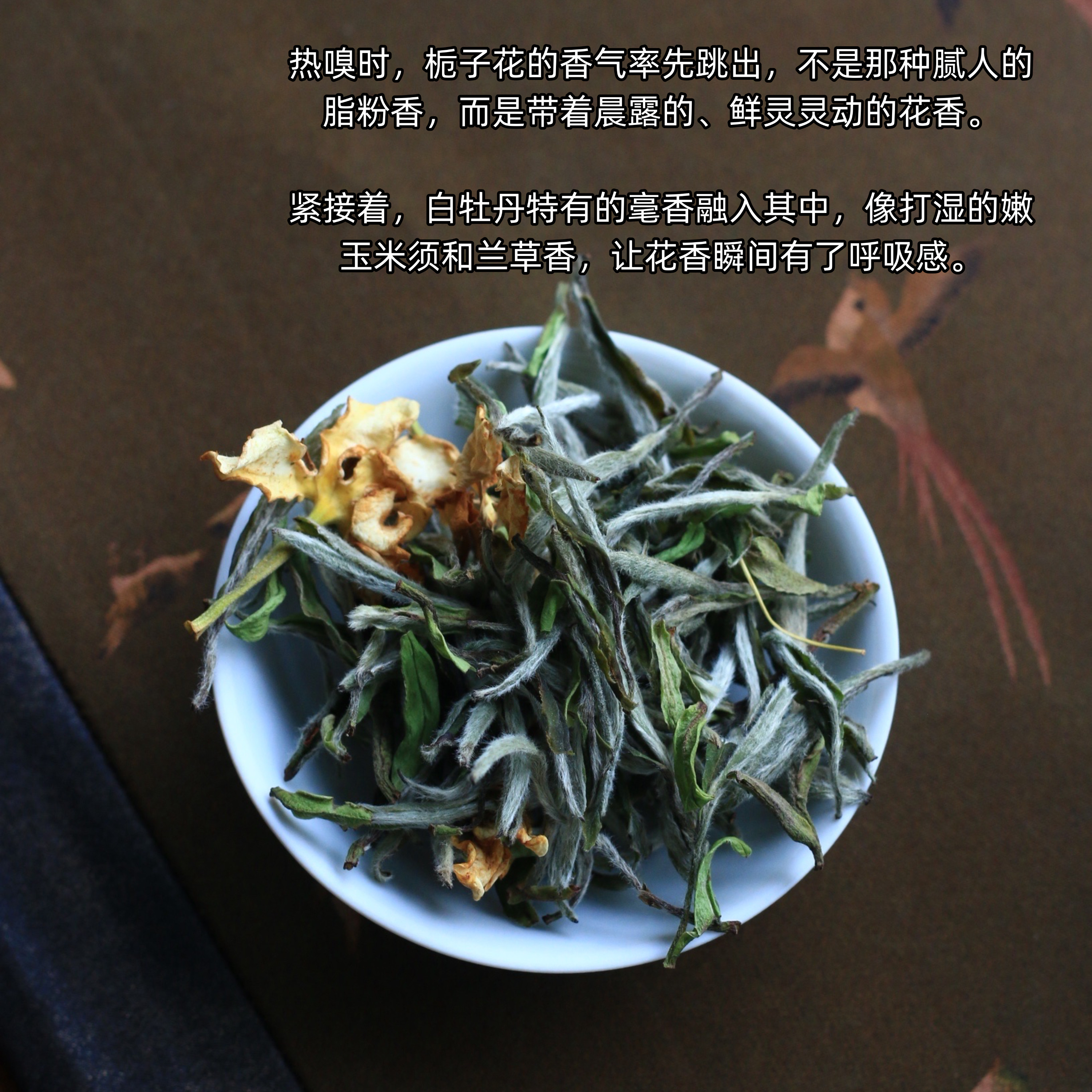 福鼎白茶2026年核心产区高级白牡丹栀子花白茶窨制清甜可冷泡