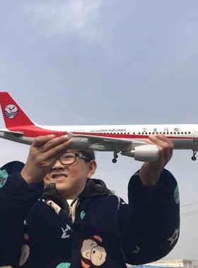 带轮子带灯A319四川航空3U8633中国机长同款飞机航模仿真客机模型