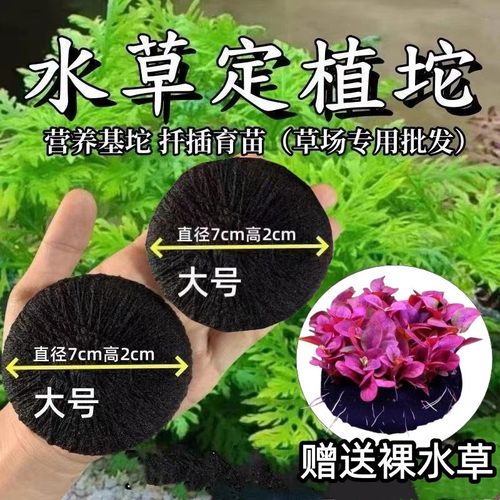 水草定植坨鱼缸造景营养土扦插定植DIY新手自作草坨底座营养土饼