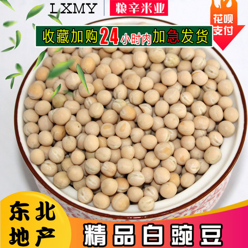 东北地产白豌豆豌豆新鲜杂粮鸽粮豌豆鸽子饲料10斤装5kg