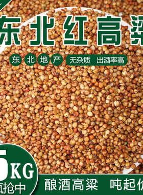 2023新红高粱带皮红高粱去壳未脱皮高粱喂鸽子粮食10斤包邮