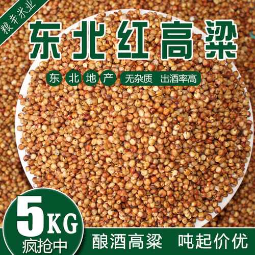 5kg粗粮新红高粱带皮红高粱去壳未脱皮高粱喂鸽子粮食10斤包邮