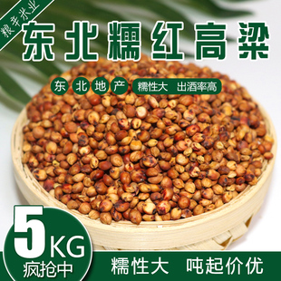 2023年新高粱糯高粱带皮糯高粱去壳粘高粱黏高粱10斤装