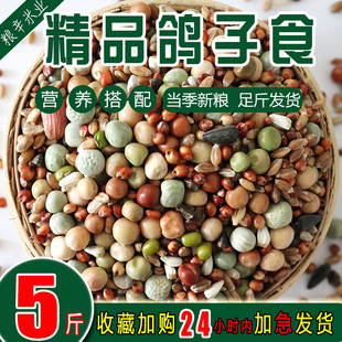 鸽子粮无玉米鸽粮食营养饲料鸟食信鸽观赏鸽肉鸽成鸽粮5斤包邮